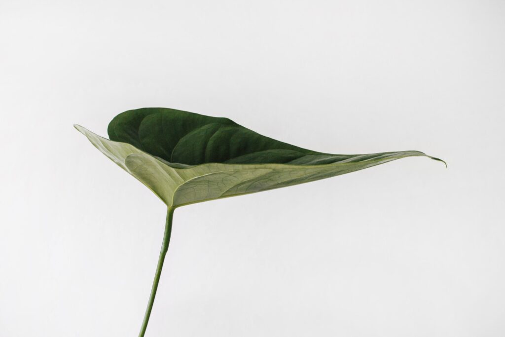 Three common myths about sustainable investing 1 Sustainable investing, or ESG (Environmental, Social & Governance) investing